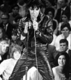 Elvis Presley<br />photo credit: Wikipedia